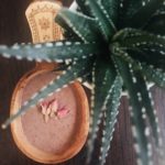 Cacao Ceremony